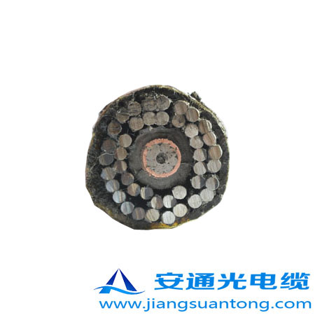 GYTA53-333|,OPPC|SңADSS|r(ji)24оOPGW|